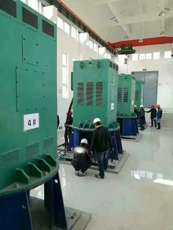 YR5001-6某污水处理厂使用我厂的立式高压电机安装现场