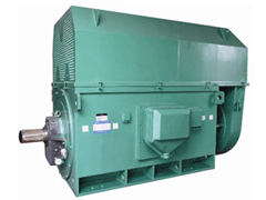 YR5001-6Y系列6KV高压电机